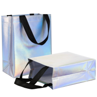 Small Glossy Metallic Laminated Non-Woven Reusable Eco-Friendly Party Return Gift Bags (Silver)